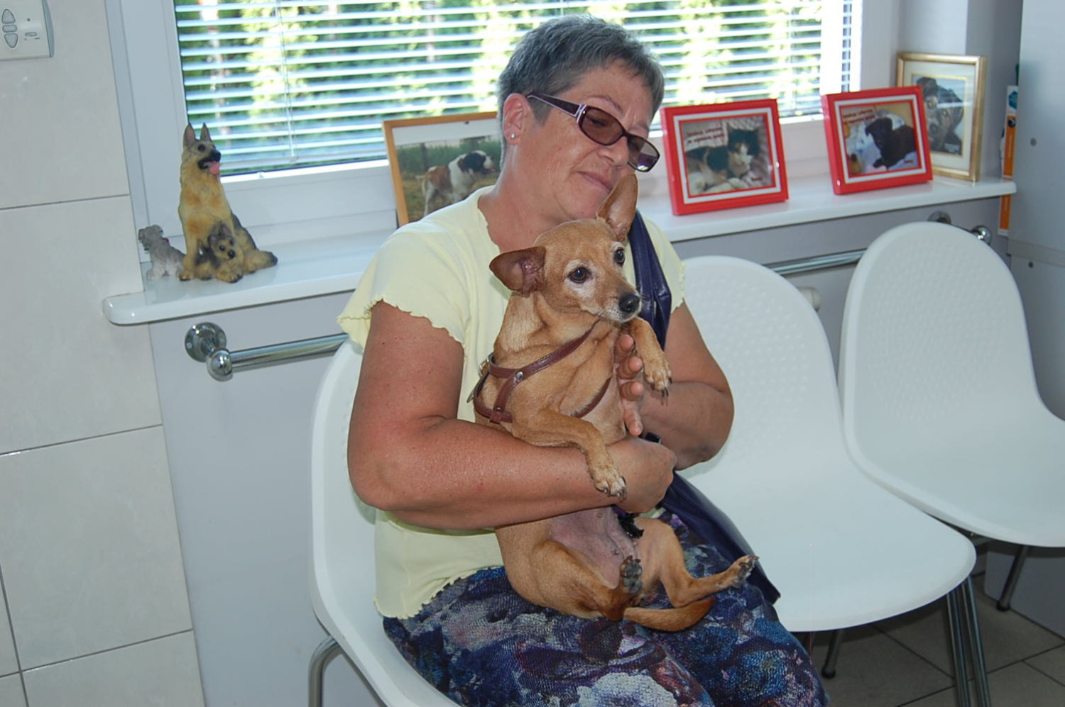Czarek – pies senior, który znalazł kochający dom i opiekę.