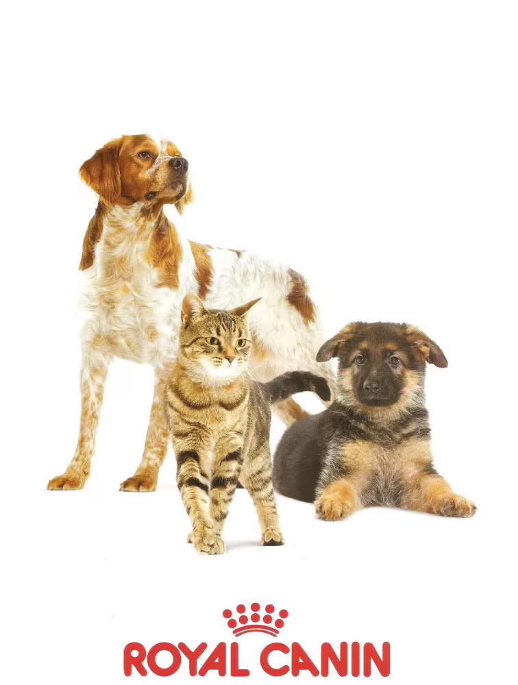 PROMOCJA! Diety i karmy weterynaryjne Royal Canin