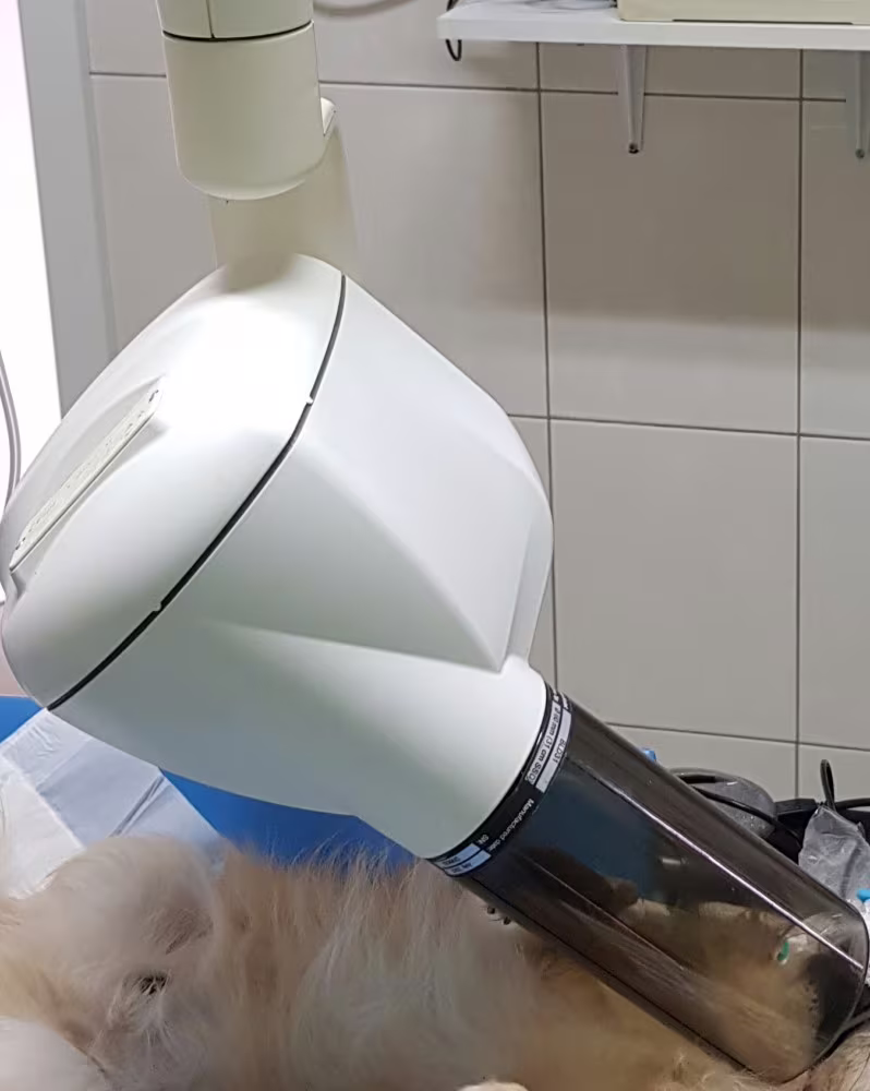 Pierwsza w Bydgoszczy wewnątrzustna radiografia dla pacjentów stomatologicznych.