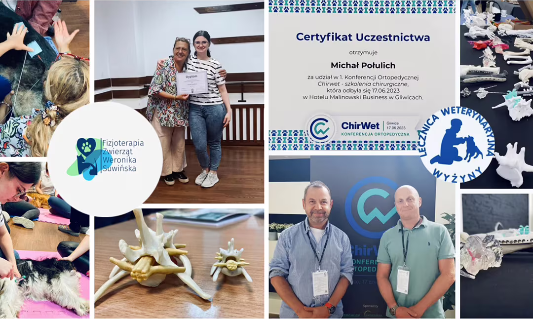 📚 Nieustannie szkolimy się dla naszych pacjentów 📚