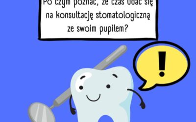 Wszystko co musisz wiedzieć o sanacji będąc opiekunem psa