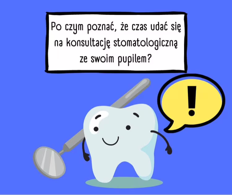 Wszystko co musisz wiedzieć o sanacji będąc opiekunem psa