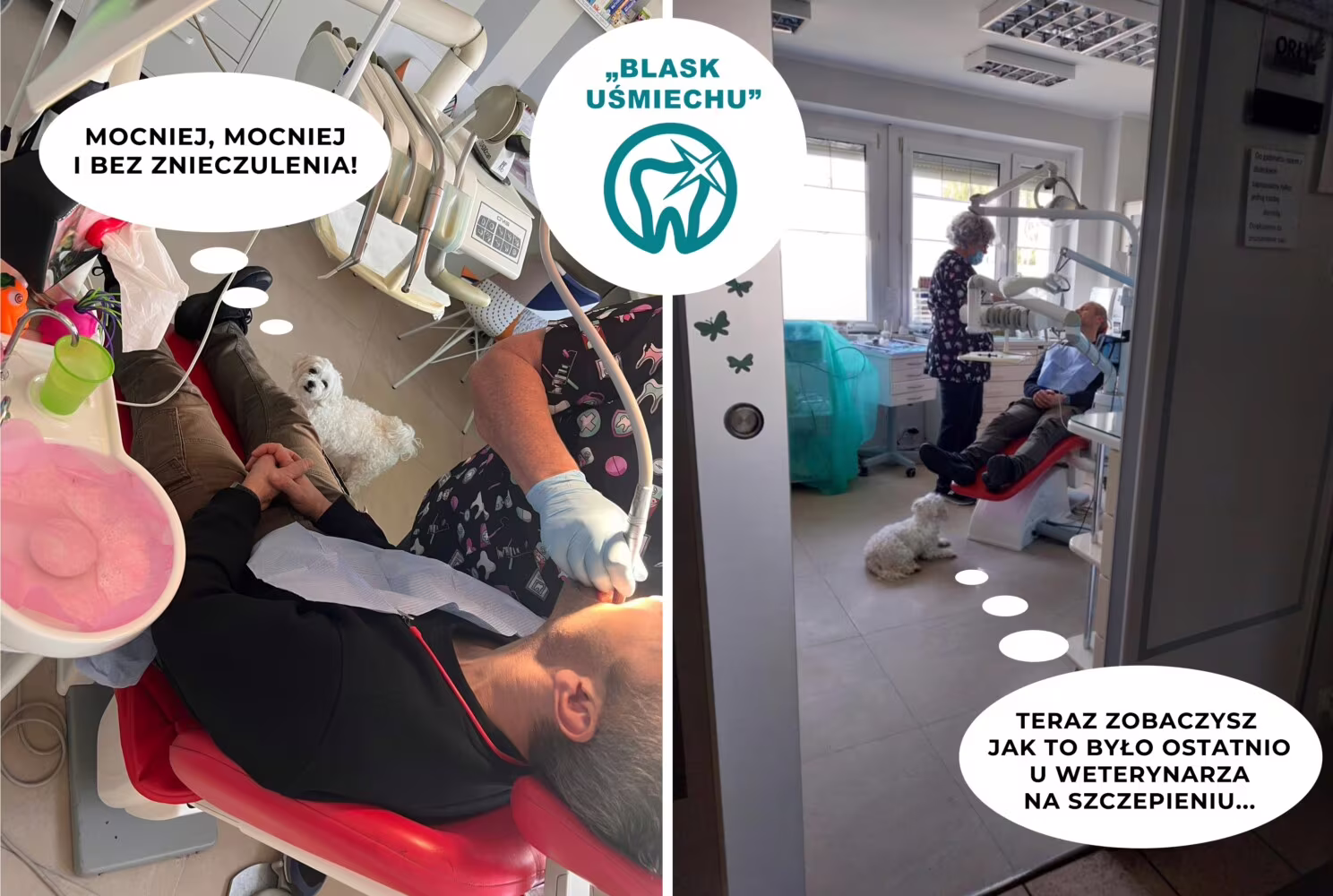Z psem u stomatologa