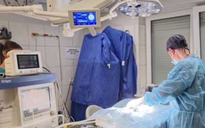 Przypadek wgłobienia jelit u kota