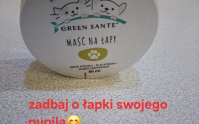Ochrona psich łapek