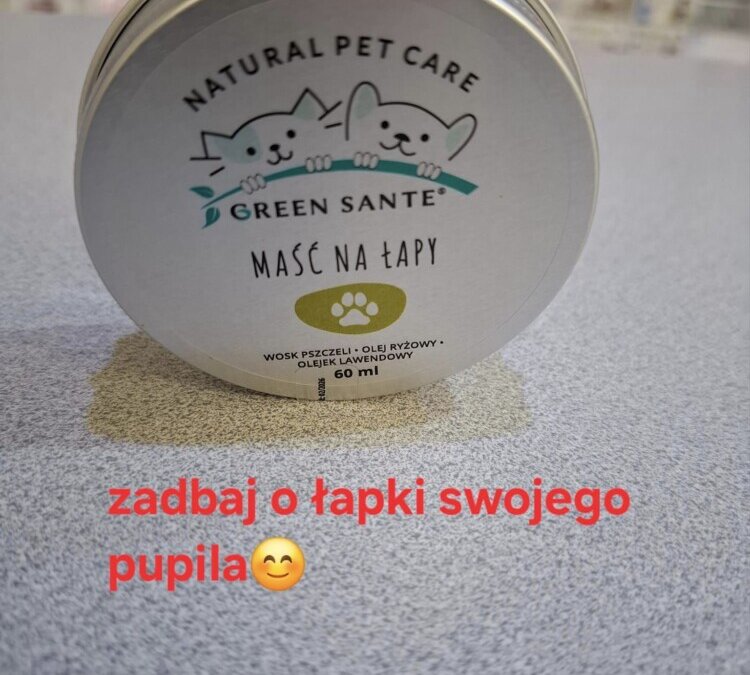 Ochrona psich łapek