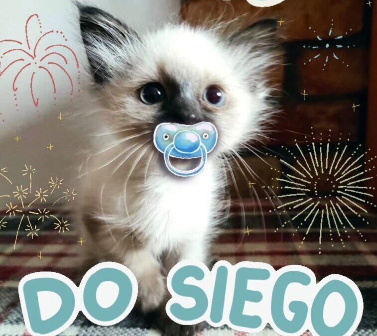 Do siego roku!