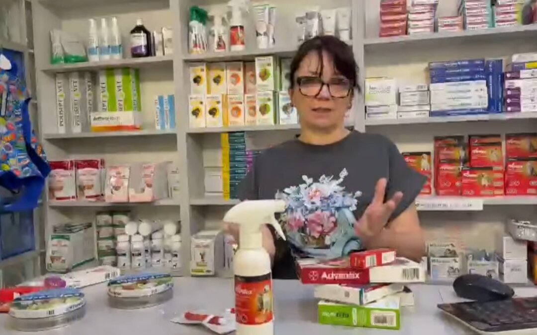 Jak chronić psa przed kleszczami