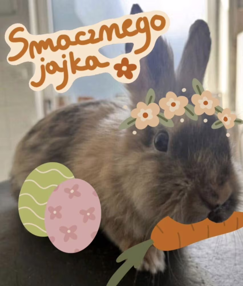 Życzenia wielkanocne