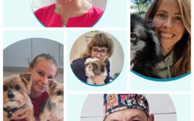 Wszystkiego najlepszego kochane doktory!