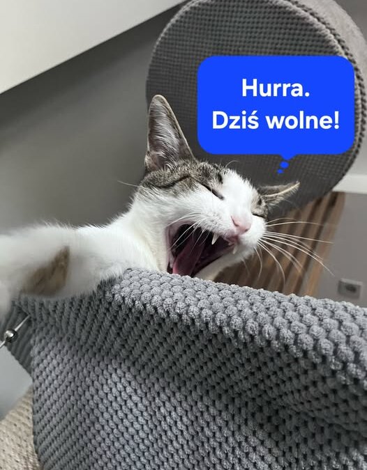 Dziś wolne!