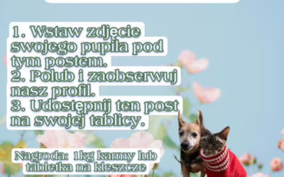 KONKURS: Pupile w obiektywie!
