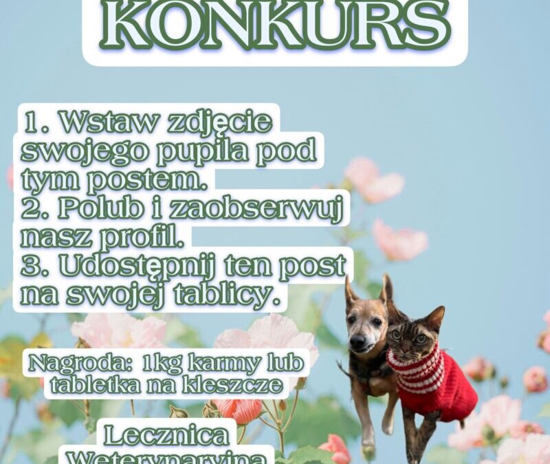 KONKURS: Pupile w obiektywie!
