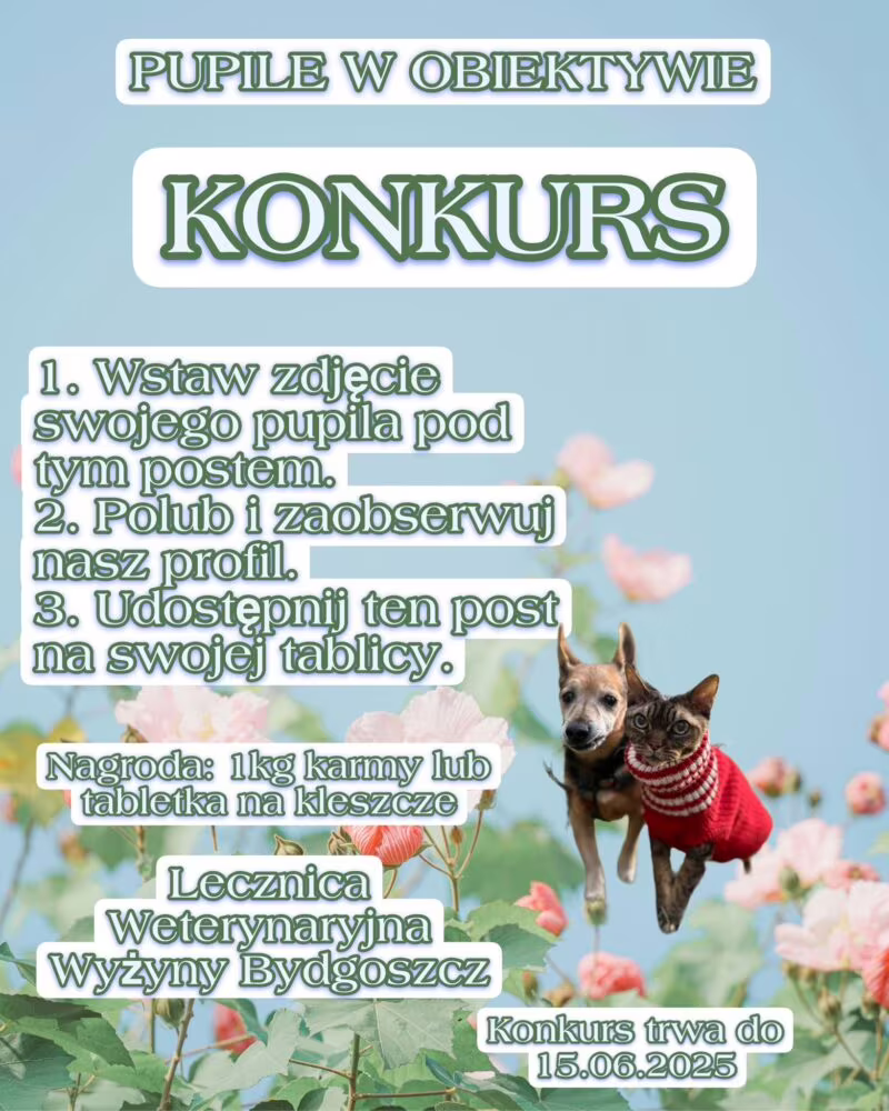 KONKURS: Pupile w obiektywie!