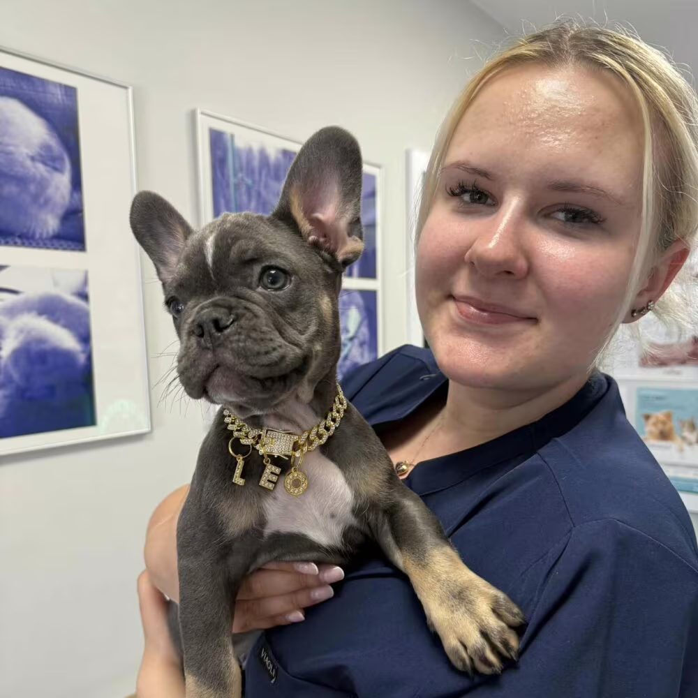 Technik weterynarii Karolina Pasternacka