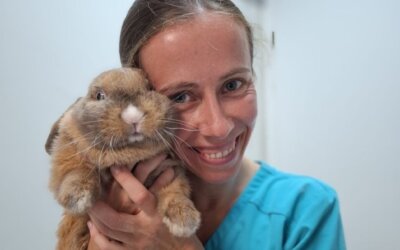 Ważny dzień dla Tuptusia