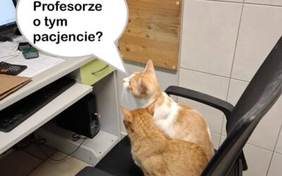 Mamy nowy zespół lekarski