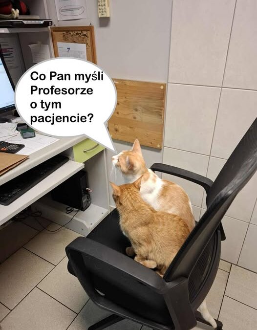 Mamy nowy zespół lekarski