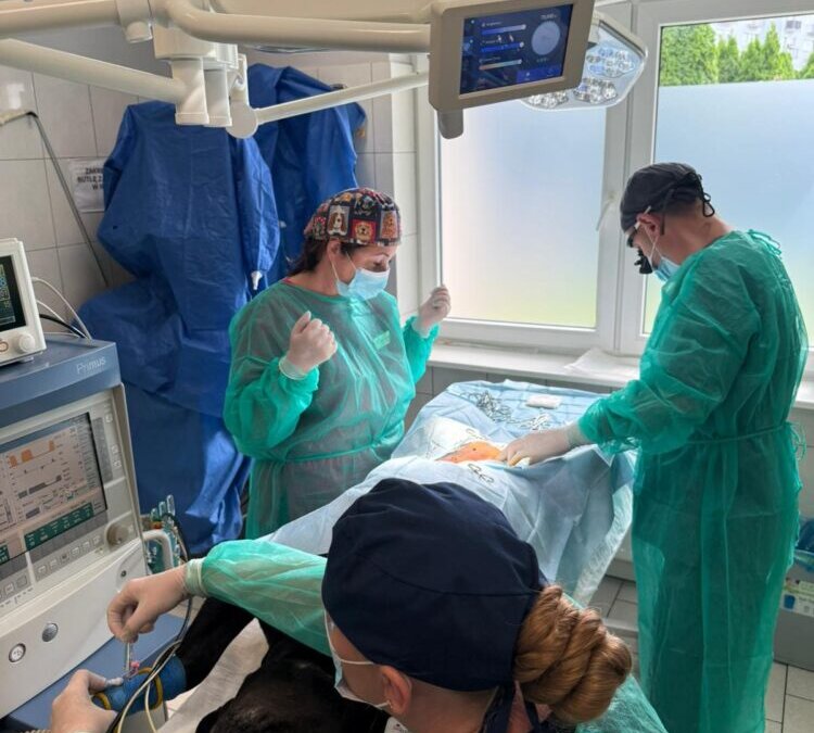 Splenectomia – usunięcie śledziony