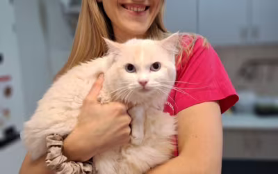 dr Adrianna Falkus