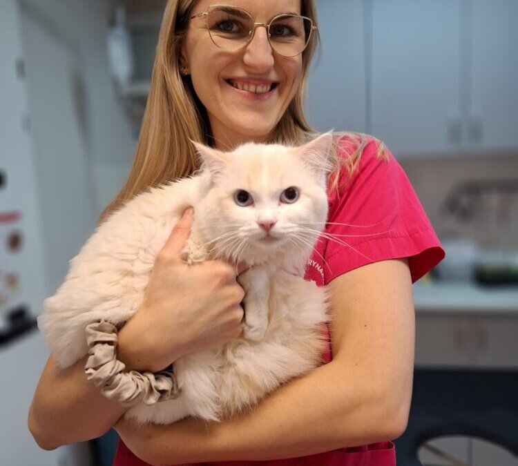 dr Adrianna Falkus
