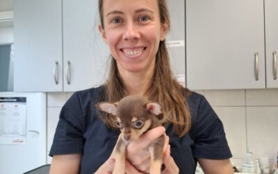 Dr Ewa