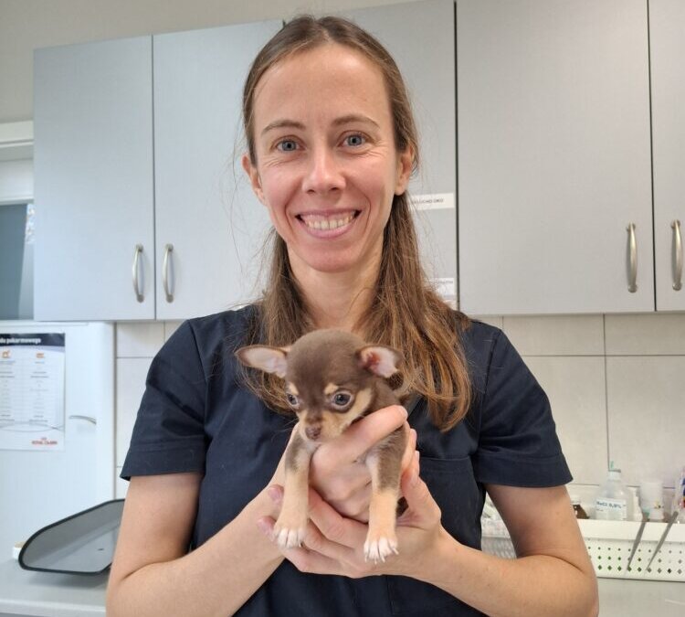 Dr Ewa