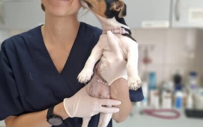 Dr Julia