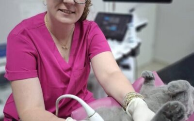 Dr Kasia