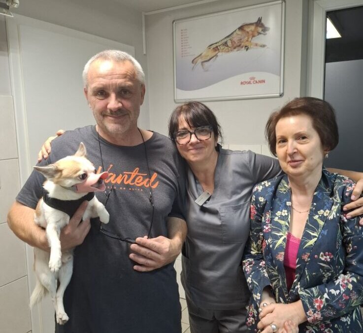 Rambo w kaczym kagańcu