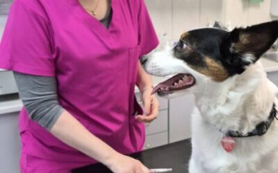 Szczepienia są ważne