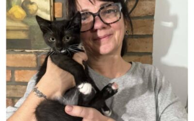 Szukamy domu dla kotków