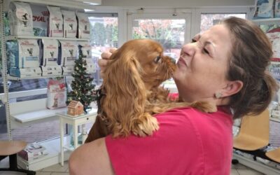 Quiz – co mówi mina Moniki?