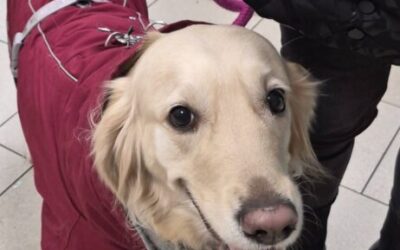 Luna przed i po badaniu