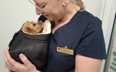 Miłość do pacjenta