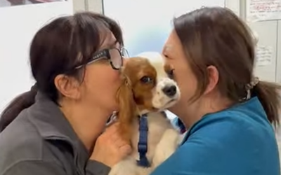 Więcej całusów niż znieczulenia