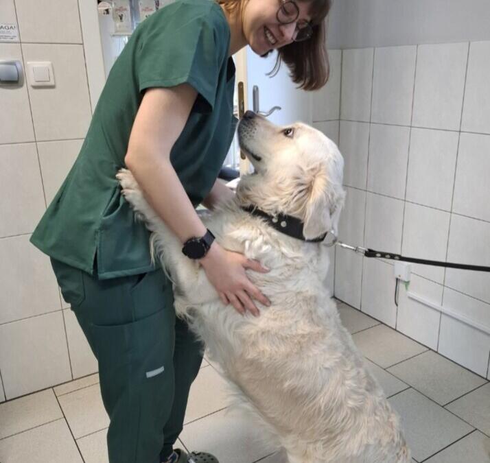 Partner do tańca