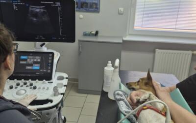 Co oni tam sprawdzają?