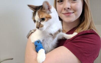 Najpierw do recepcji marsz!