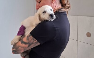 Po wenflonie w ramiona ukochanego człowieka