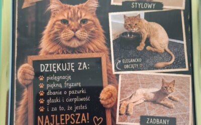 Strzyżenie w premedykacji