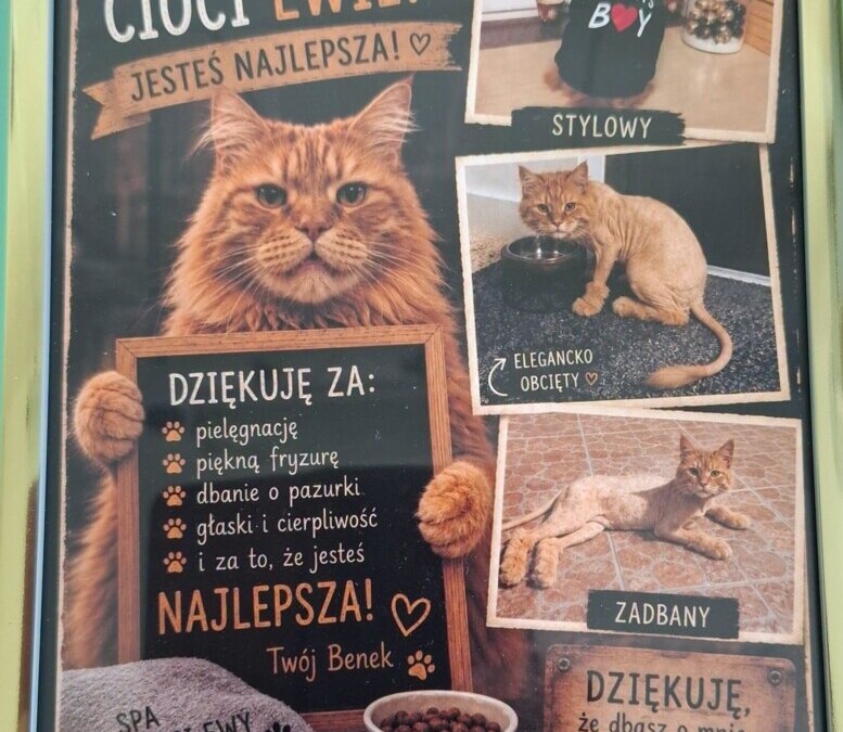 Strzyżenie w premedykacji