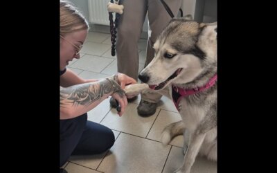 Psi Manicure