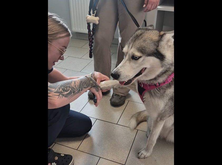 Psi Manicure
