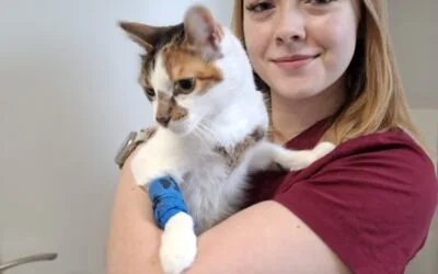 Zadowolenie pacjenta jest najważniejsze